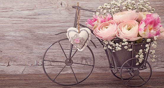 Bicicleta vintage con rosas